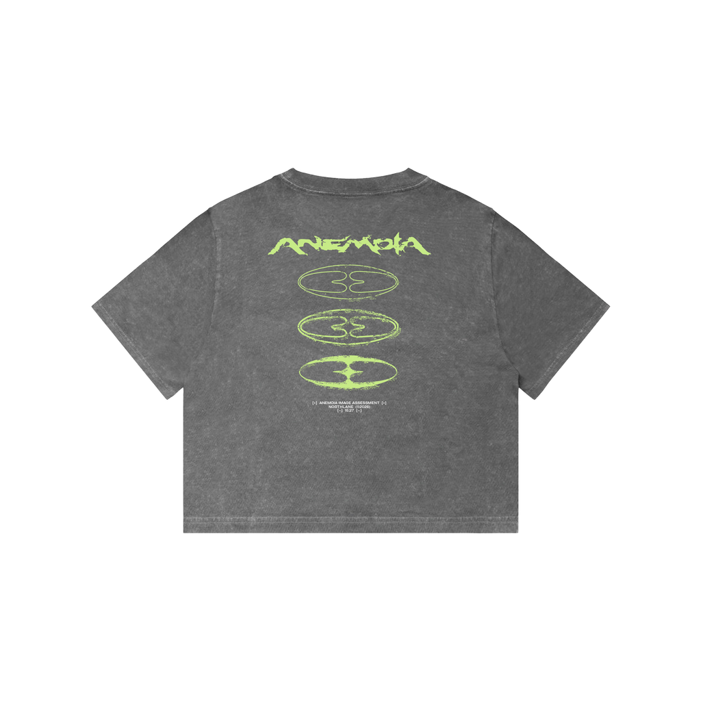Anemoia Crop Top Pre-Order