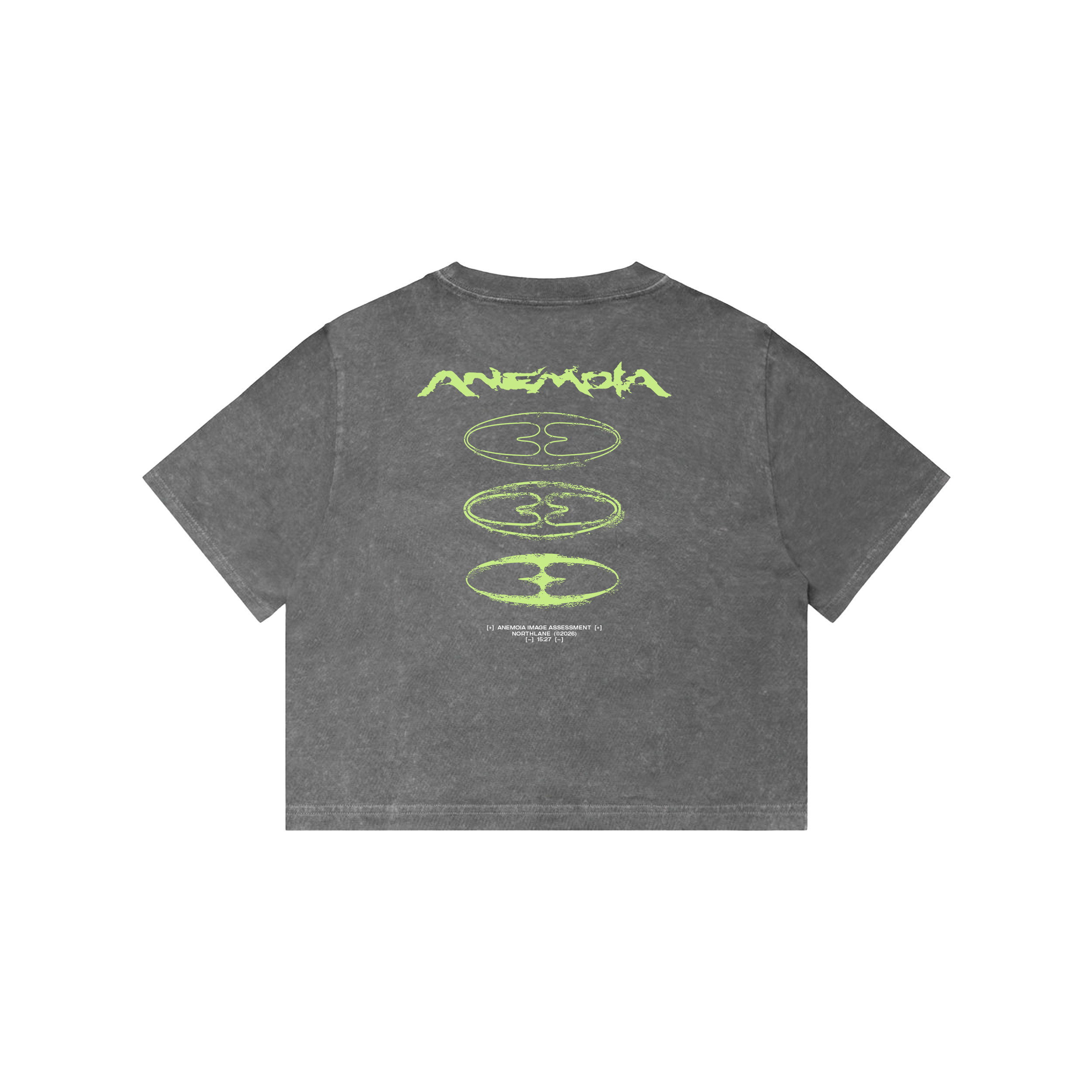 Anemoia Crop Top Pre-Order