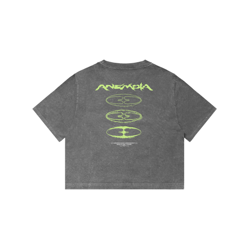 Anemoia Crop Top Pre-Order